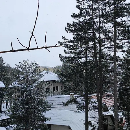 アパート Pino Marengo *