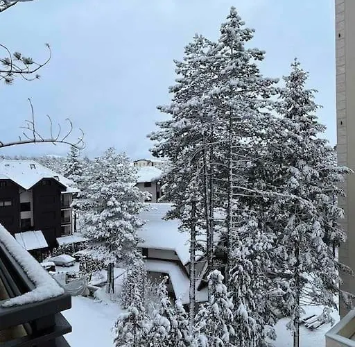 아파트 Pino Marengo *