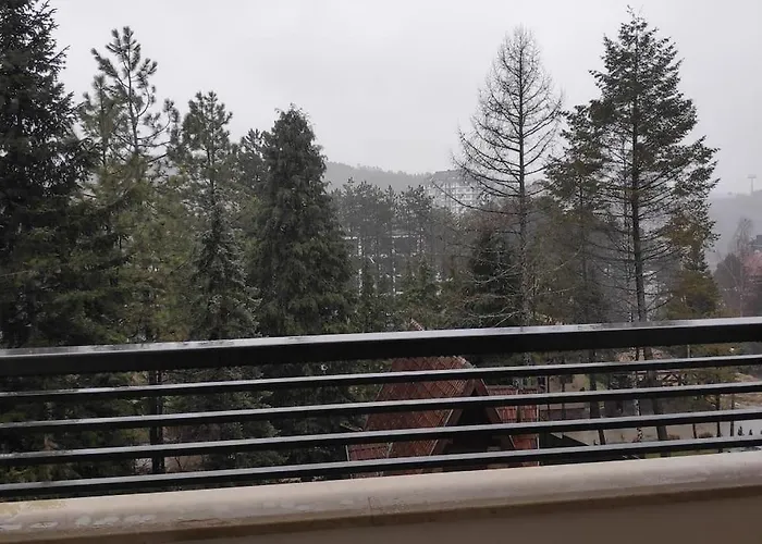 Pino Marengo アパート