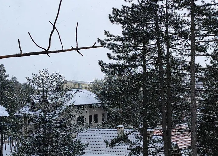 아파트 Pino Marengo *